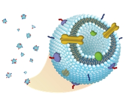 Cell-derived drug delivery systems