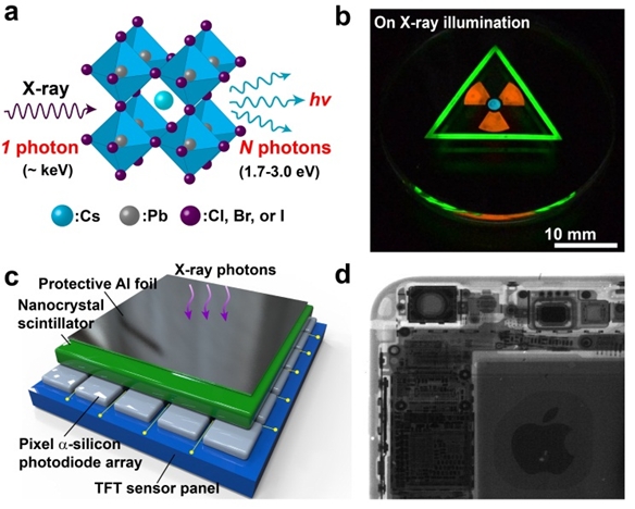 Perovskite nanocrystal scintillators for X-ray imaging