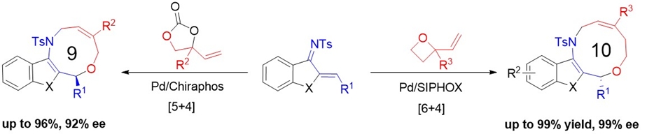 Synthesis of medium-sized ring structured compounds