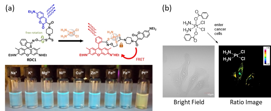 A ratiometric fluorescent probe for cisplatin