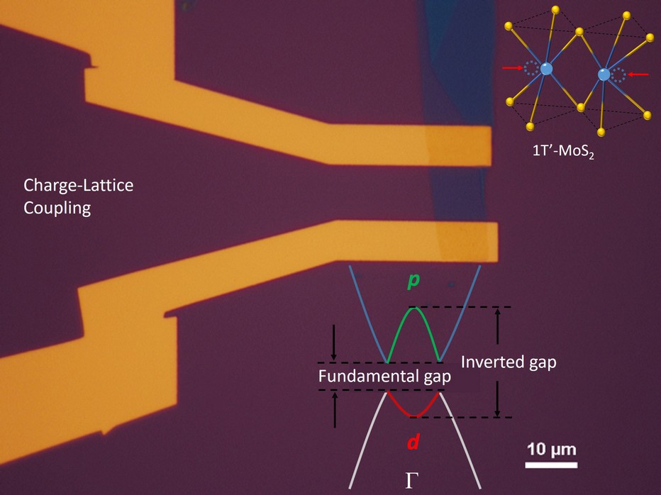 Insights on properties of 2D materials