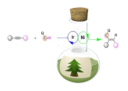 Green functionalisation of carbon-hydrogen bonds