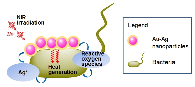 Metal nanoparticles for imaging guided phototherapy