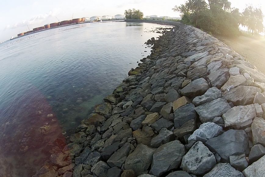 Ecologically engineering Singapore’s seawalls