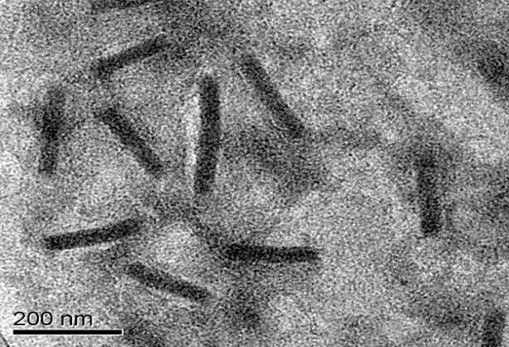 Using an insect virus for bladder cancer therapy