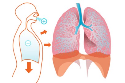 Designing carriers for inhalation drug delivery