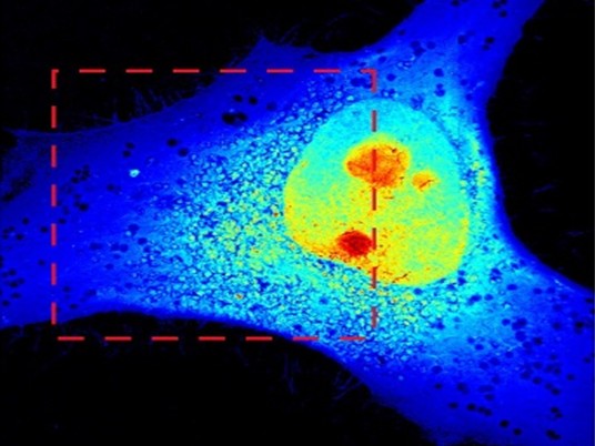 Super-resolution imaging using MeV ion beams