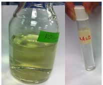 Water purification by green photo-catalysts