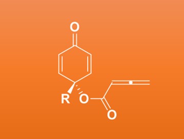 New ways of making molecules