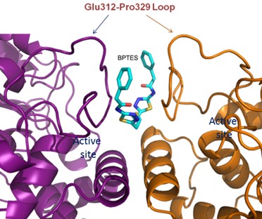 Arresting cancer by energy starvation