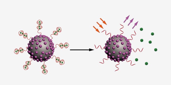 Deep tissue imaging and drug delivery