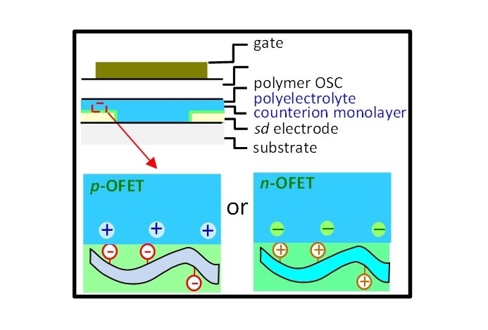 NUS and BASF scientists open a way to high performance organic transistors for flexible electronics