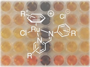 Methodology to identify drug candidates for multidrug resistant cancers