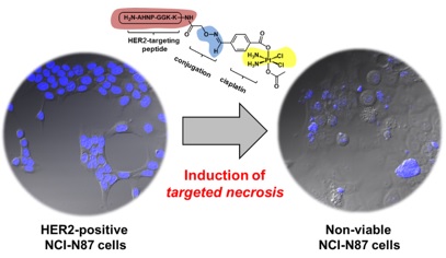 Overcoming drug resistance in cancer therapy