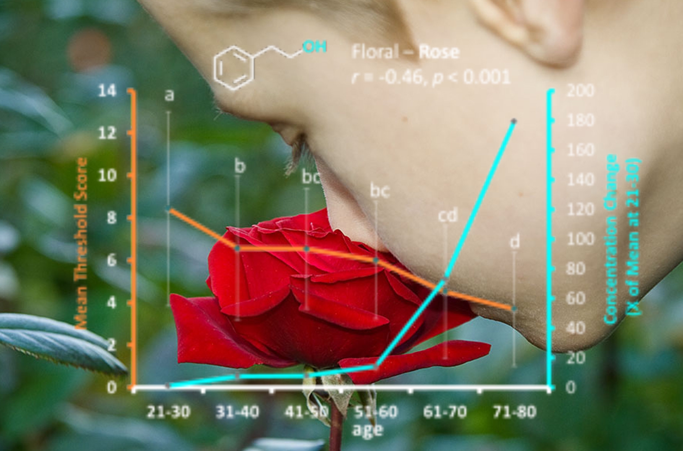 Sense of rose scent changes as we age