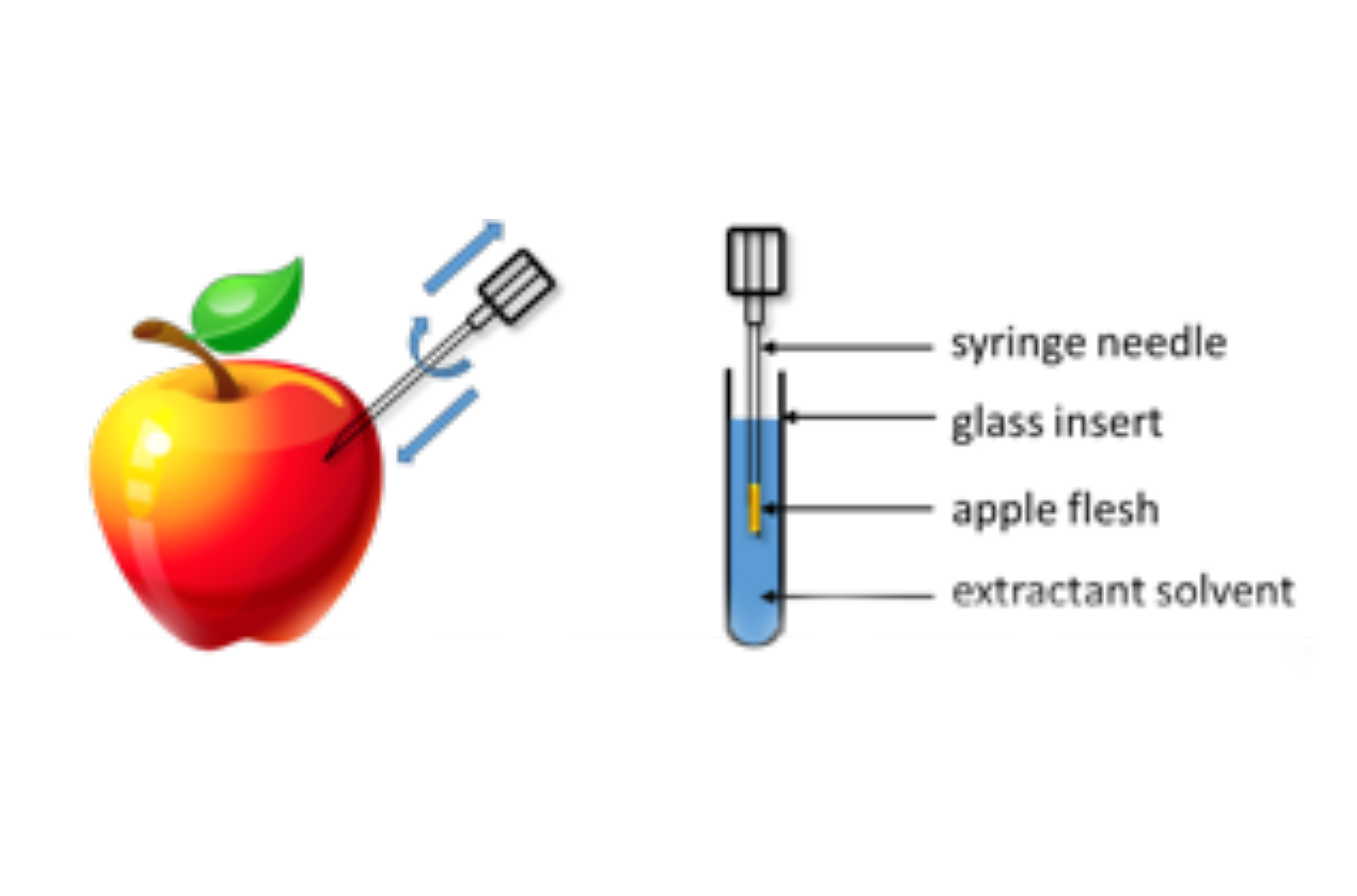 Needle-based sampling for fruit flesh