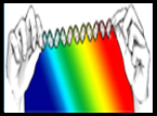 DNA overstretching in the Proceedings of the National Academy of Sciences (PNAS)