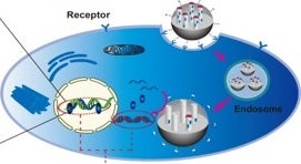 Single vehicular delivery system with combination inhibition