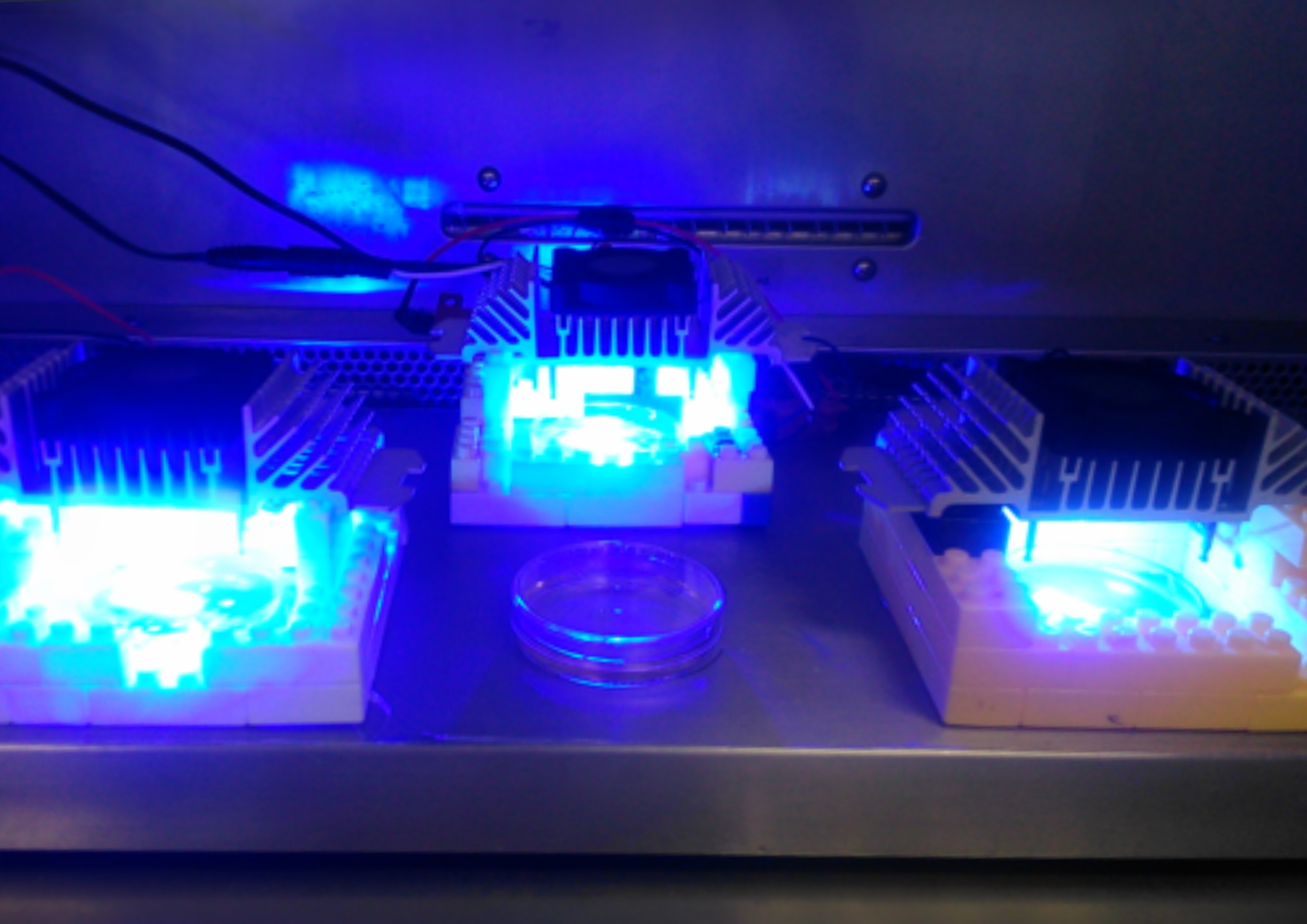 Blue LEDs can preserve orange juice