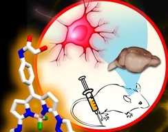 The live neuron fluorescent probe, NeuO