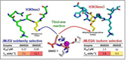 Pick an isoform: Selective Inhibition of JmjC Histone Demethylases