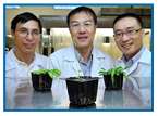 Turning on the ‘Flowering’ Switch in Plants