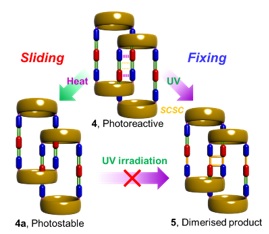 Distorted polymers make good sensors