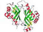 X-rays reveal how soil bacteria carry out surprising chemistry