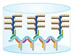 Detection of leukemia with carbon nanotubes