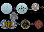 Unique Process Directing Role of Graphene Oxide in the Formation of Metal Oxide Mesocrystals