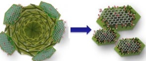 Unravelling graphene oxide’s role in the exfoliation of mesocrystals