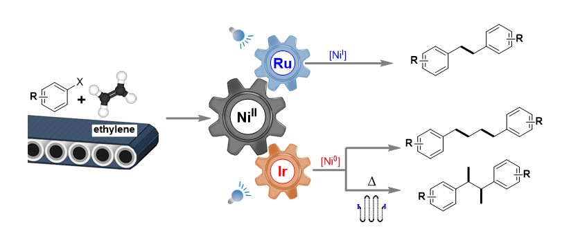 Catalytic transformation of ethylene