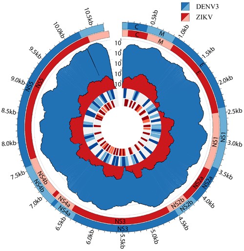 A new methodology for sequencing viruses