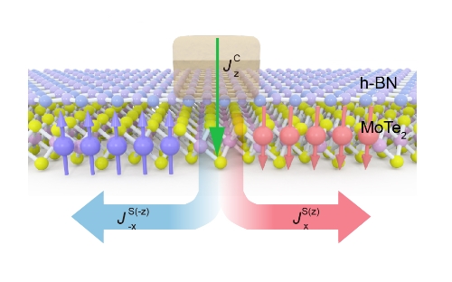 Thin film Weyl semimetals for spintronic applications