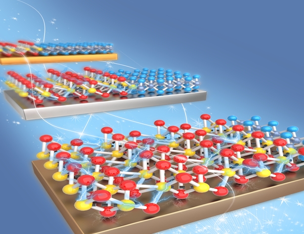 Phase transition dynamics in two-dimensional (2D) materials