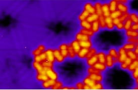 Organic porous structures on 2D defect networks