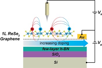 Control of excitons in a 2D semiconductor