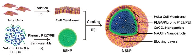 Smart contrast agent for tumour visualisation