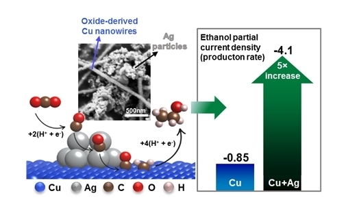 Electrochemical reduction of carbon dioxide to ethanol