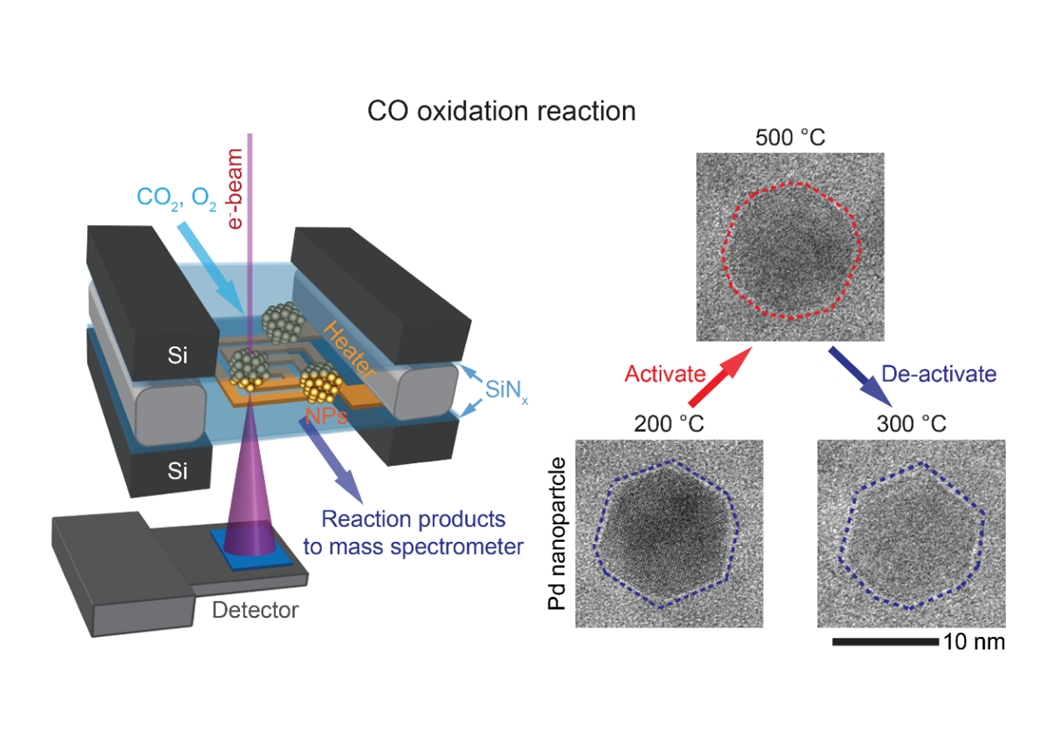 Imaging structural changes in catalysts during reaction conditions