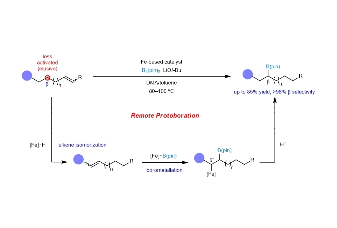 Sustainable iron catalysis enables controllable alkene borylation