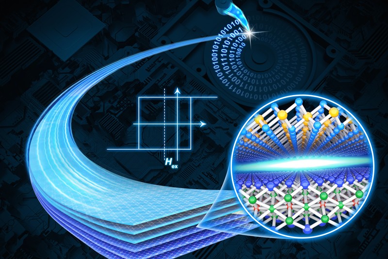 Exchange bias in van der Waals heterostructures