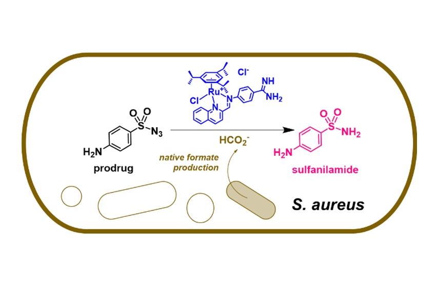 Antibacterial prodrug by targeting intracellular metabolite