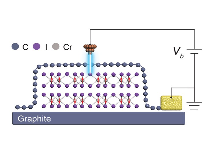 Visualising atomic structure and magnetism of 2D magnetic insulators