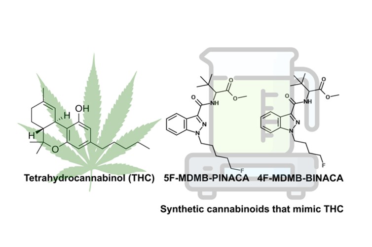 Diagnosing intake of two new psychoactive substances