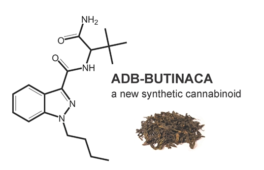 Novel strategy for identifying biomarkers of synthetic cannabinoids