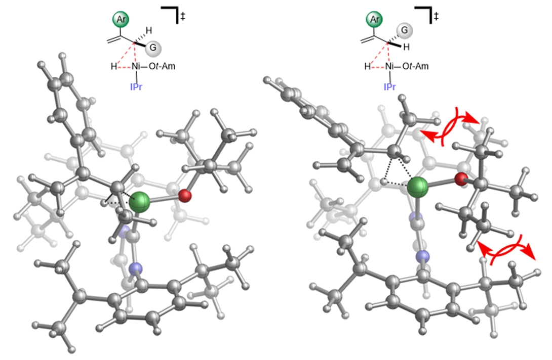 Stereoselective alkene synthesis with non-precious nickel catalysis