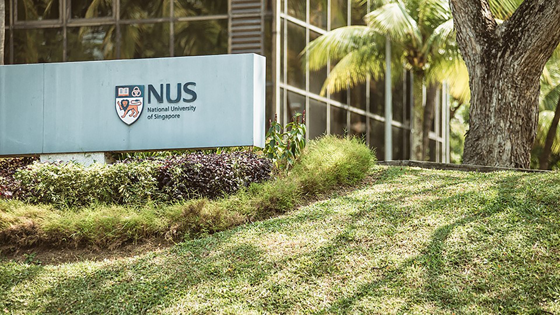 Nus Recognised As Regional Leader In Innovation 2022