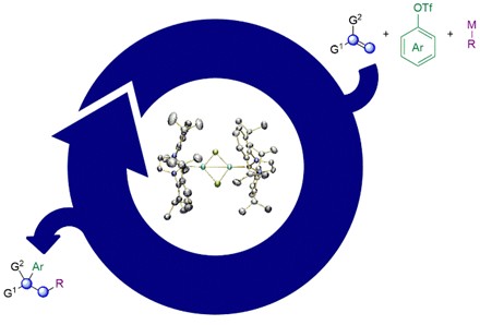 Directing group-free alkene dicarbofunctionalization through catalyst control