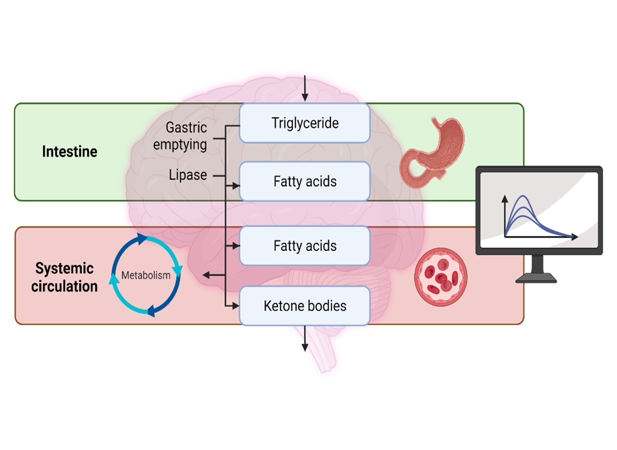 Virtual trials to streamline drug development